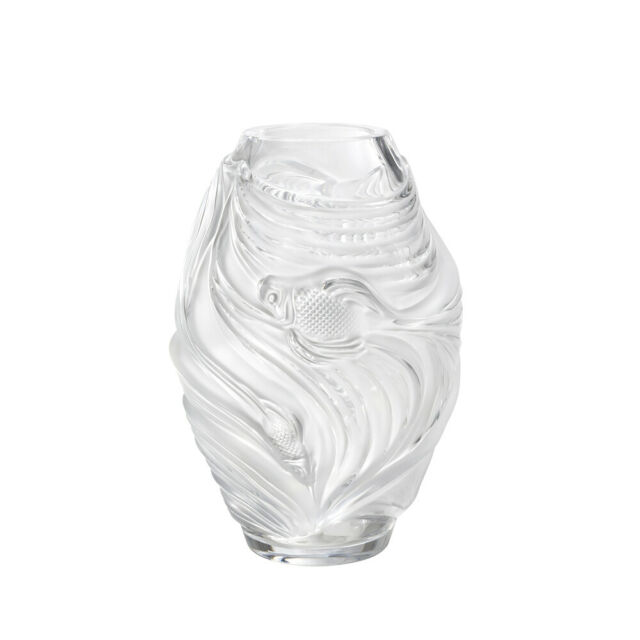 POISSONS COMBATTANTS VASO MEDIO