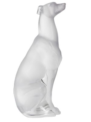Greyhound Scultura Trasparente